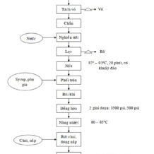 quy trinh san xuat cua day chuyen san xuat sua