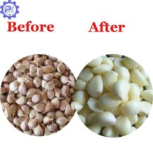 Máy Bóc Vỏ Hành Tỏi DF-340 Giá Rẻ 7 hieu qua boc vo hanh toi sach toi 98