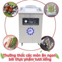 máy hút chân không DZQ-600 buồng sâu