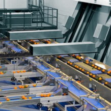 Dây chuyền phân loại sản phẩm