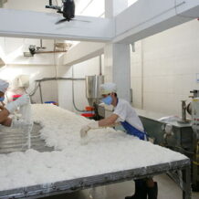 day chuyen san xuat bun tuoi 200 250kgh co nhieu loi ich