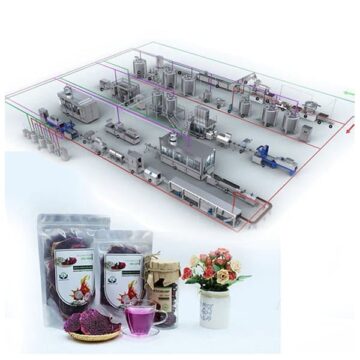 Dây Chuyền Sản Xuất Thanh Long Sấy Dẻo