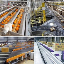 su dung day chuyen phan loai san pham giup doanh nghiep tiet kiem chi phi