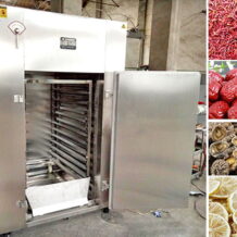 Tủ Sấy 2 Buồng 2 Cánh Công Nghiệp 8 cong nghe say lanh dam bao gia tri dinh duong san pham