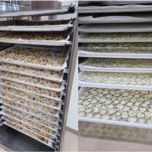 Tủ Sấy Khô Lạnh Công Nghiệp WRH-100 10 cong nghe say lanh giu nguyen gia tri dinh duong cua san pham