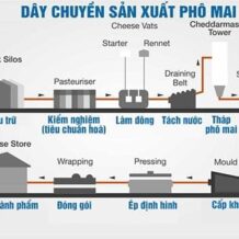 day chuyen san xuat pho mat dem lai nhieu loi ich