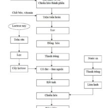 quy trinh san xuat sua dac