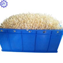 thanh pham gia do th duoc trang map tron