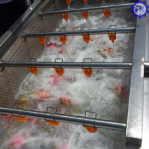 Máy Rửa Thanh Long 9 Máy rửa thanh long