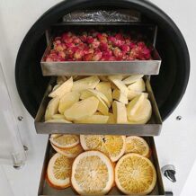 Tủ Sấy Khô Lạnh Chân Không TF-HFD-4 10 tu say tf hfd 4 ung dung ky thuat say thang hoa tien tien