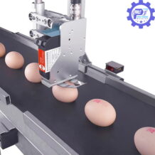 Máy Indate Phun Mã Ký Hiệu Lên Trứng T2 8 voi thiet ke dac trung rieng biet may indate T2 chong duoc tinh trang va dap cua trung