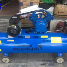 Máy Nén Khí Dây Đai Pegasus PT-0.25/12.5-120l 10 diem noi bat cua may nen khi day dai pegasus