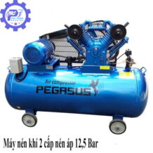 Máy Nén Khí Dây Đai Pegasus PT-0.25/12.5-120l 11 may nen khi day dai pegasus pt 0 25 12 5 120l