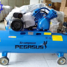 Máy Nén Khí Dây Đai Pegasus PT-0.25/8-120l 8 may nen khi day dai pegasus su dung rong rai pho bien