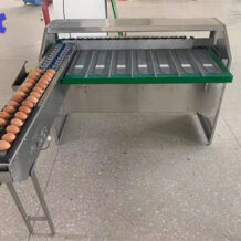 Máy phân loại trứng gà vịt