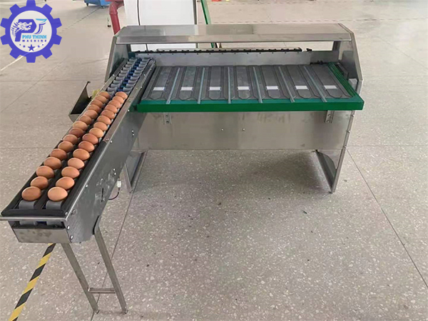 Máy phân loại trứng gà vịt