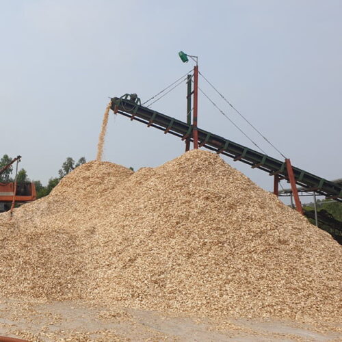Dây chuyền bóc vỏ và băm gỗ