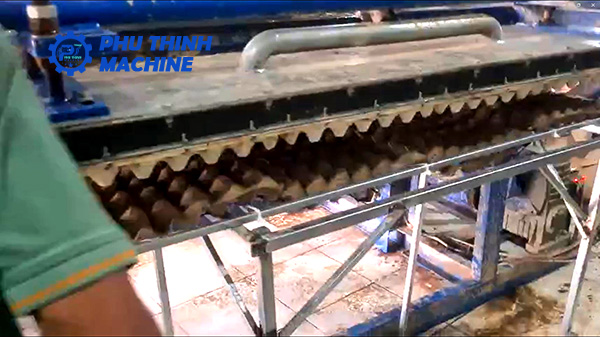 Dây chuyền sản xuất vỉ trứng tại Tây Ninh