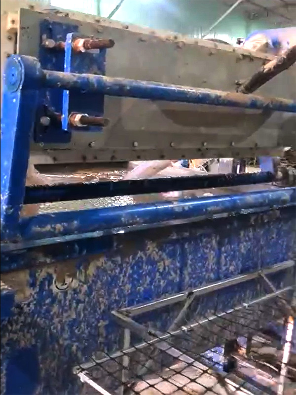 Dây chuyền sản xuất vỉ trứng tại Tây Ninh