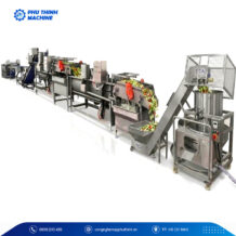 Dây chuyền sơ chế rau củ quả từ A tới Z