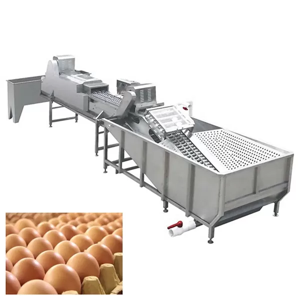 Dây Chuyền Rửa Và Sấy Khô Trứng 10 Dây chuyền rửa và sấy khô trứng